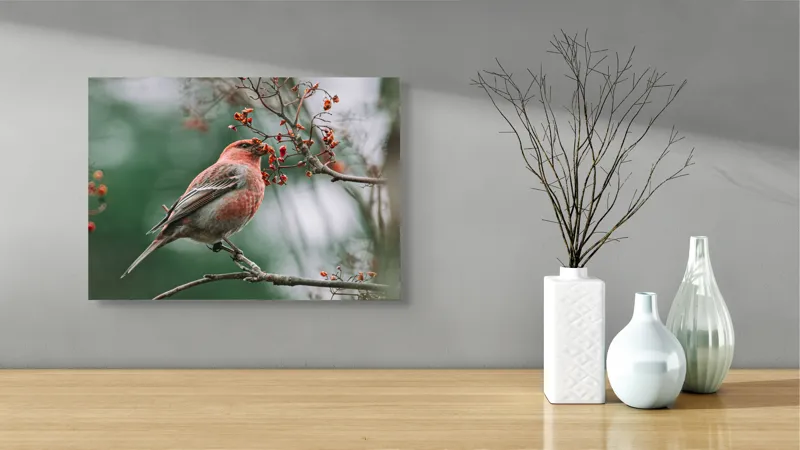 Tablou Canvas, "Pasărea roșcată pe ramură înflorită", Pasăre, Ramură, Flori, Natură, Penaj, Roz, Beak, Frunziș, Perching, Wild., 54 x 39 cm – poza 3