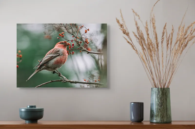 Tablou Canvas, "Pasărea roșcată pe ramură înflorită", Pasăre, Ramură, Flori, Natură, Penaj, Roz, Beak, Frunziș, Perching, Wild., 54 x 39 cm – poza 4