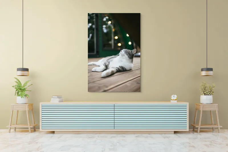 Tablou Canvas, "Răsfățul unei după-amiezi liniștite", Pisică, Relaxare, Plăcere, Natură, Lumină, Fericire, Lemn, Repaus, 100 x 150 cm – poza 4