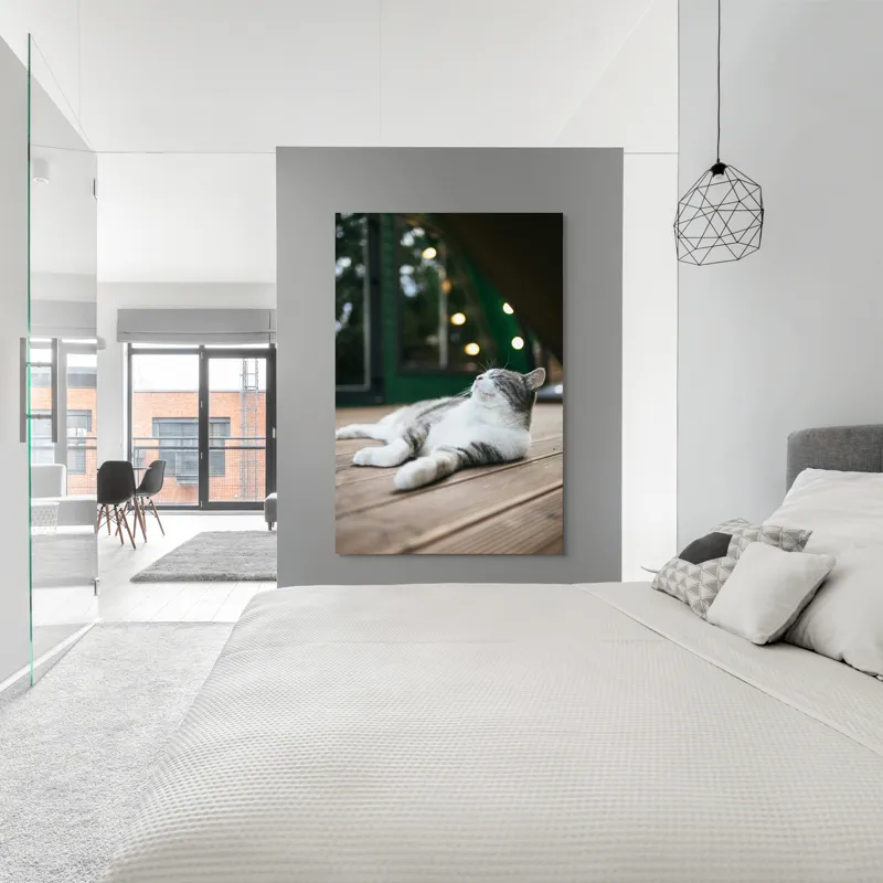 Tablou Canvas, "Răsfățul unei după-amiezi liniștite", Pisică, Relaxare, Plăcere, Natură, Lumină, Fericire, Lemn, Repaus, 100 x 150 cm – poza 5