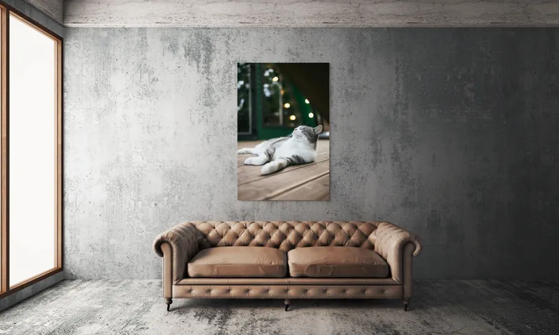 Tablou Canvas, "Răsfățul unei după-amiezi liniștite", Pisică, Relaxare, Plăcere, Natură, Lumină, Fericire, Lemn, Repaus, 100 x 150 cm – poza 6