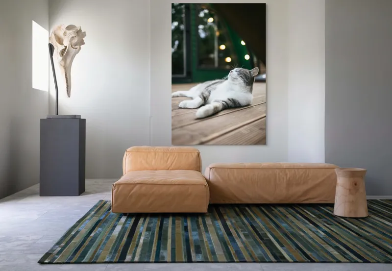 Tablou Canvas, "Răsfățul unei după-amiezi liniștite", Pisică, Relaxare, Plăcere, Natură, Lumină, Fericire, Lemn, Repaus, 100 x 150 cm – poza 7