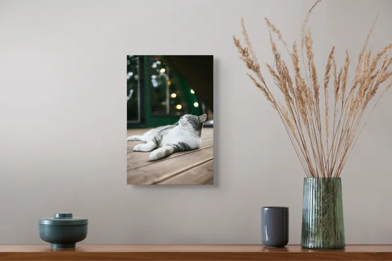 Tablou Canvas, "Răsfățul unei după-amiezi liniștite", Pisică, Relaxare, Plăcere, Natură, Lumină, Fericire, Lemn, Repaus, 26 x 39 cm – poza 5