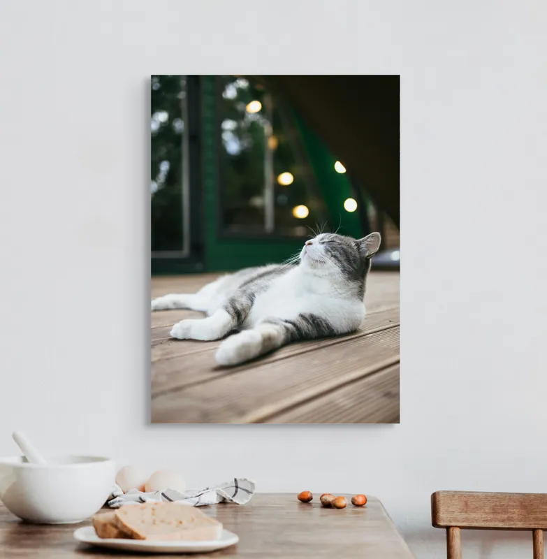 Tablou Canvas, "Răsfățul unei după-amiezi liniștite", Pisică, Relaxare, Plăcere, Natură, Lumină, Fericire, Lemn, Repaus, 50 x 70 cm – poza 3