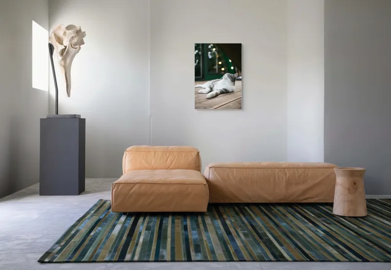 Tablou Canvas, "Răsfățul unei după-amiezi liniștite", Pisică, Relaxare, Plăcere, Natură, Lumină, Fericire, Lemn, Repaus, 50 x 70 cm – poza 7