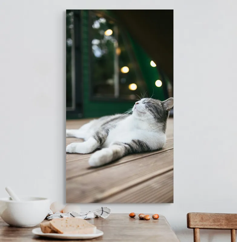 Tablou Canvas, "Răsfățul unei după-amiezi liniștite", Pisică, Relaxare, Plăcere, Natură, Lumină, Fericire, Lemn, Repaus, 50 x 90 cm – poza 3
