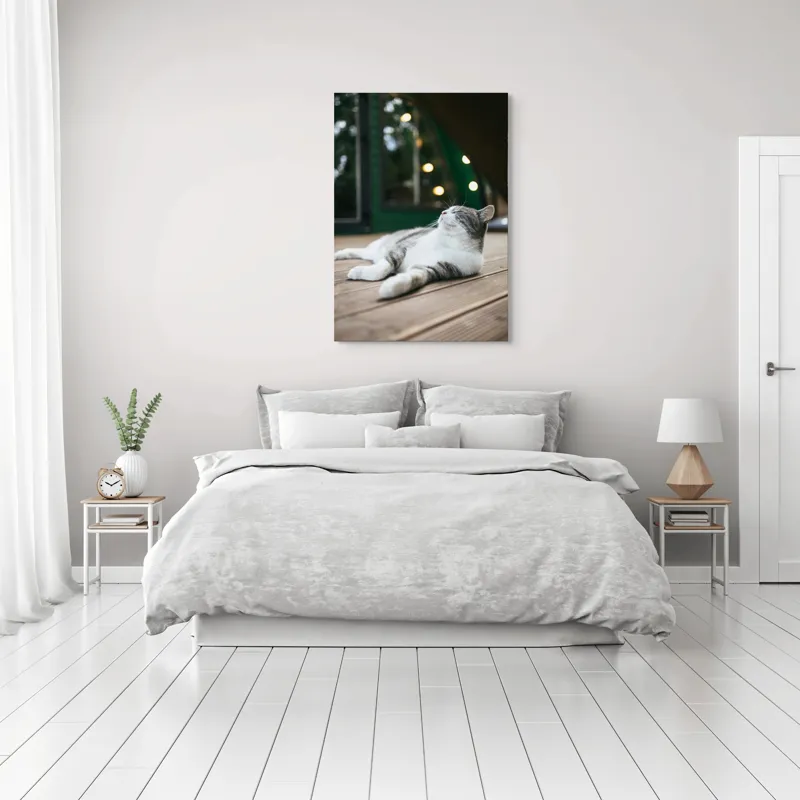 Tablou Canvas, "Răsfățul unei după-amiezi liniștite", Pisică, Relaxare, Plăcere, Natură, Lumină, Fericire, Lemn, Repaus, 70 x 100 cm – poza 3
