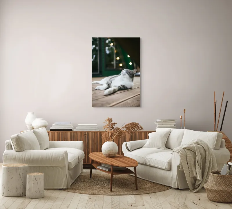 Tablou Canvas, "Răsfățul unei după-amiezi liniștite", Pisică, Relaxare, Plăcere, Natură, Lumină, Fericire, Lemn, Repaus, 70 x 100 cm – poza 4