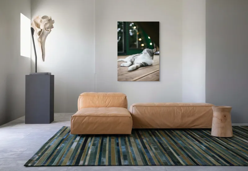 Tablou Canvas, "Răsfățul unei după-amiezi liniștite", Pisică, Relaxare, Plăcere, Natură, Lumină, Fericire, Lemn, Repaus, 70 x 100 cm – poza 7