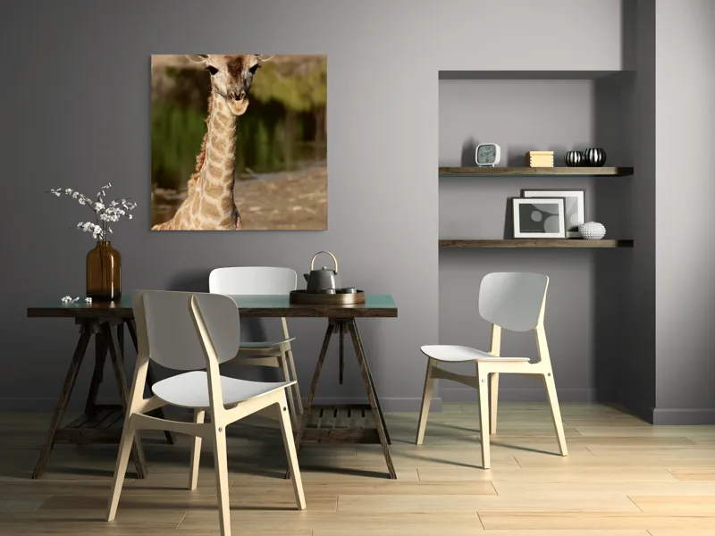 Tablou Canvas, "Puiul de girafă în sălbăticie", Gingășie, Grație, Eleganță, Natură, Serenitate, Splendoare, Viu, Liniște, 100 x 100 cm – poza 6
