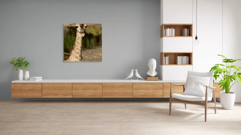 Tablou Canvas, "Puiul de girafă în sălbăticie", Gingășie, Grație, Eleganță, Natură, Serenitate, Splendoare, Viu, Liniște, 100 x 100 cm – poza 8