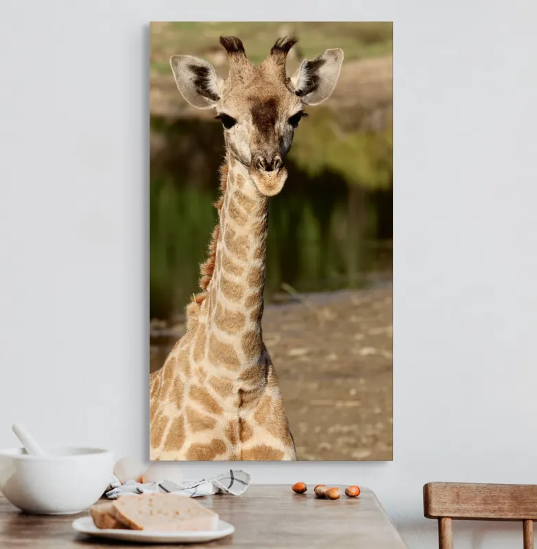 Tablou Canvas, "Puiul de girafă în sălbăticie", Gingășie, Grație, Eleganță, Natură, Serenitate, Splendoare, Viu, Liniște, 50 x 90 cm – poza 3