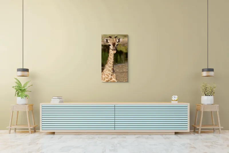Tablou Canvas, "Puiul de girafă în sălbăticie", Gingășie, Grație, Eleganță, Natură, Serenitate, Splendoare, Viu, Liniște, 50 x 90 cm – poza 6