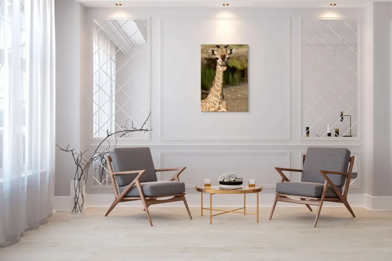 Tablou Canvas, "Puiul de girafă în sălbăticie", Gingășie, Grație, Eleganță, Natură, Serenitate, Splendoare, Viu, Liniște, 70 x 100 cm – poza 8