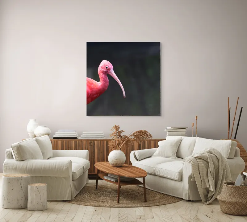 Tablou Canvas, "Pasărea roșie în contemplare liniștită", Roșu, Ibis, Penaj, Cioc, Elegant, Contrast, Natură, Frumusețe., 100 x 100 cm – poza 3