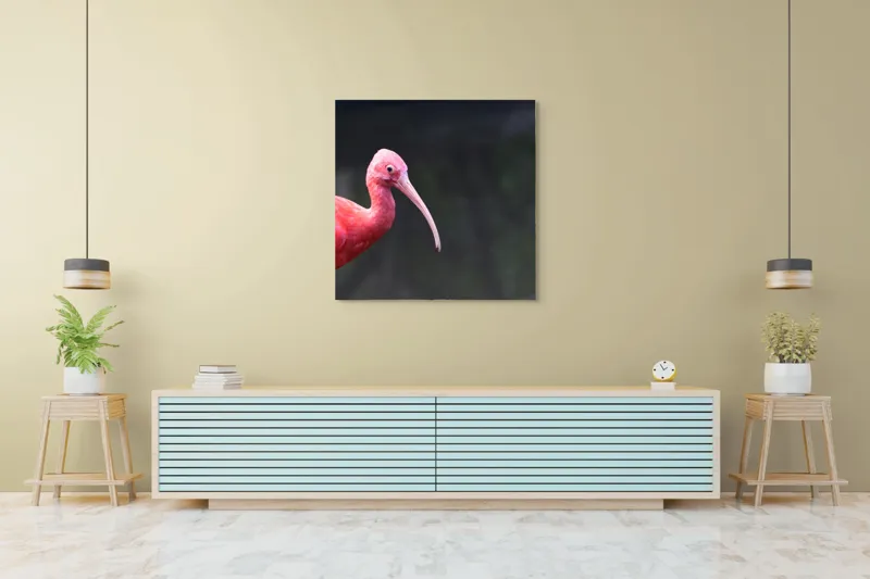 Tablou Canvas, "Pasărea roșie în contemplare liniștită", Roșu, Ibis, Penaj, Cioc, Elegant, Contrast, Natură, Frumusețe., 100 x 100 cm – poza 5