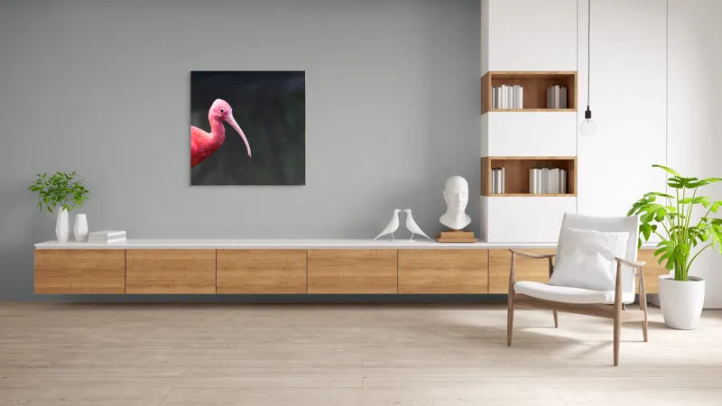 Tablou Canvas, "Pasărea roșie în contemplare liniștită", Roșu, Ibis, Penaj, Cioc, Elegant, Contrast, Natură, Frumusețe., 100 x 100 cm – poza 8