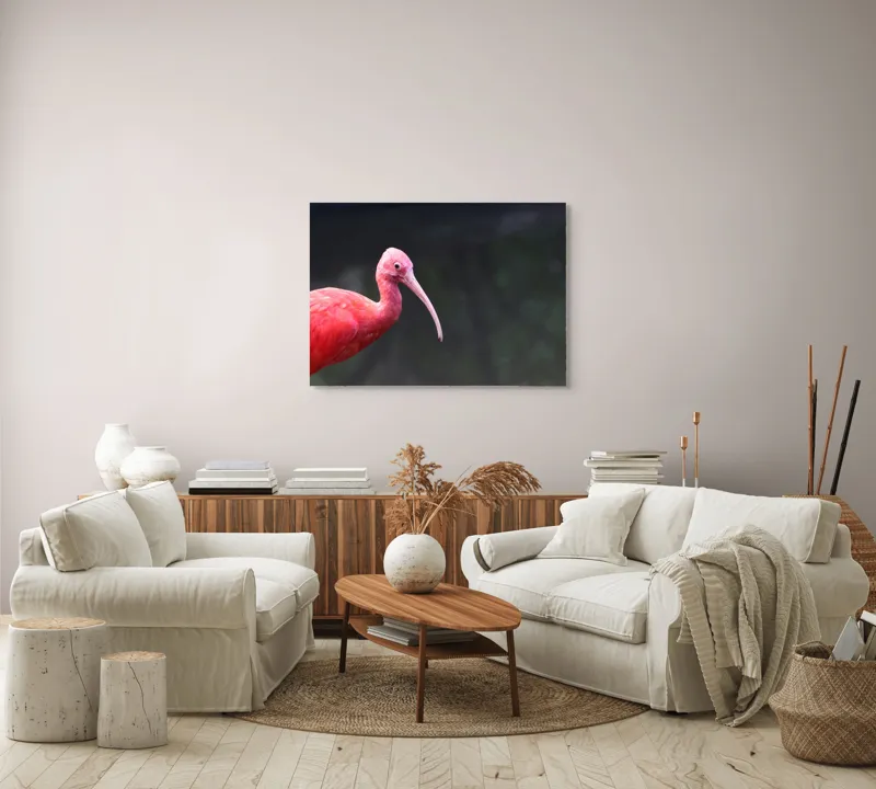 Tablou Canvas, "Pasărea roșie în contemplare liniștită", Roșu, Ibis, Penaj, Cioc, Elegant, Contrast, Natură, Frumusețe., 100 x 70 cm – poza 3
