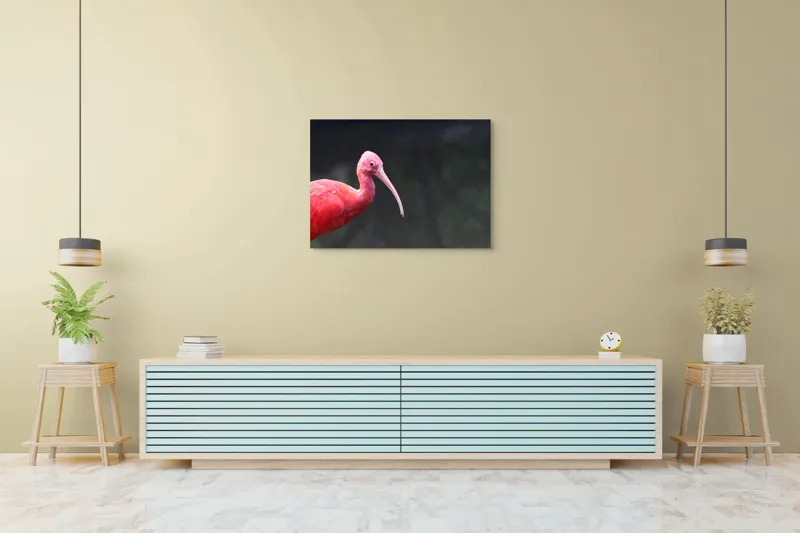 Tablou Canvas, "Pasărea roșie în contemplare liniștită", Roșu, Ibis, Penaj, Cioc, Elegant, Contrast, Natură, Frumusețe., 100 x 70 cm – poza 4