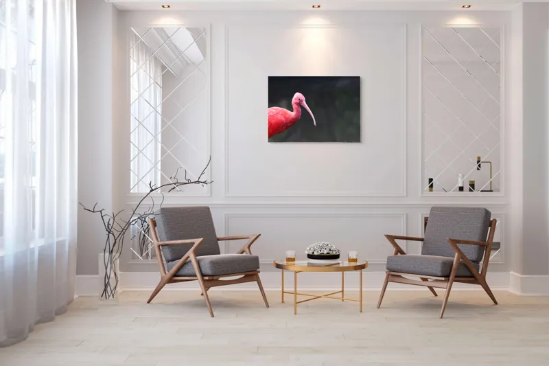 Tablou Canvas, "Pasărea roșie în contemplare liniștită", Roșu, Ibis, Penaj, Cioc, Elegant, Contrast, Natură, Frumusețe., 100 x 70 cm – poza 5