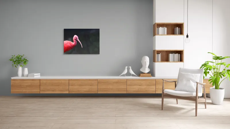 Tablou Canvas, "Pasărea roșie în contemplare liniștită", Roșu, Ibis, Penaj, Cioc, Elegant, Contrast, Natură, Frumusețe., 100 x 70 cm – poza 6