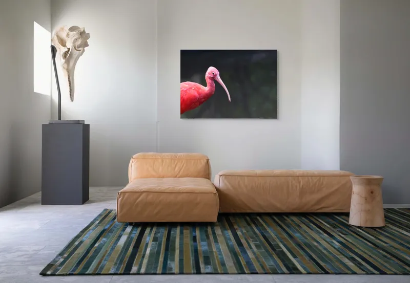 Tablou Canvas, "Pasărea roșie în contemplare liniștită", Roșu, Ibis, Penaj, Cioc, Elegant, Contrast, Natură, Frumusețe., 100 x 70 cm – poza 7