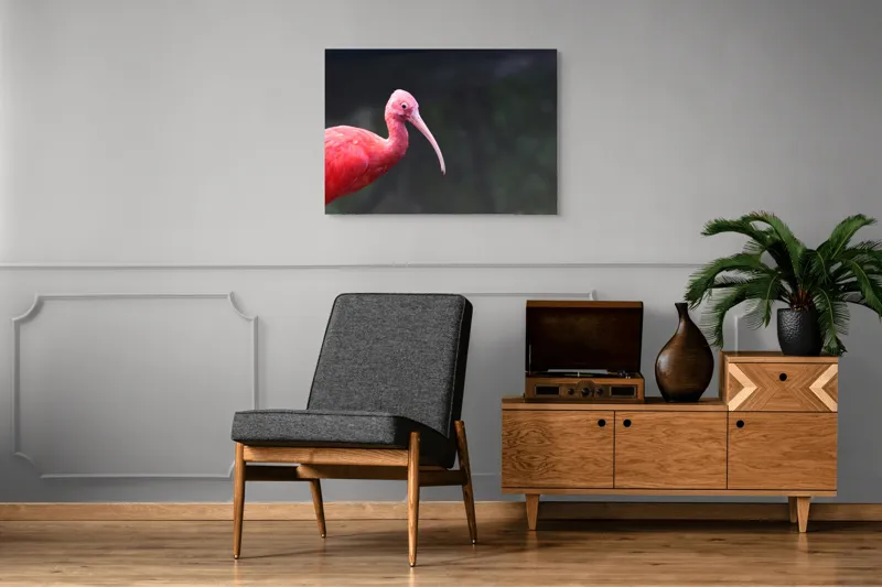 Tablou Canvas, "Pasărea roșie în contemplare liniștită", Roșu, Ibis, Penaj, Cioc, Elegant, Contrast, Natură, Frumusețe., 100 x 70 cm – poza 8