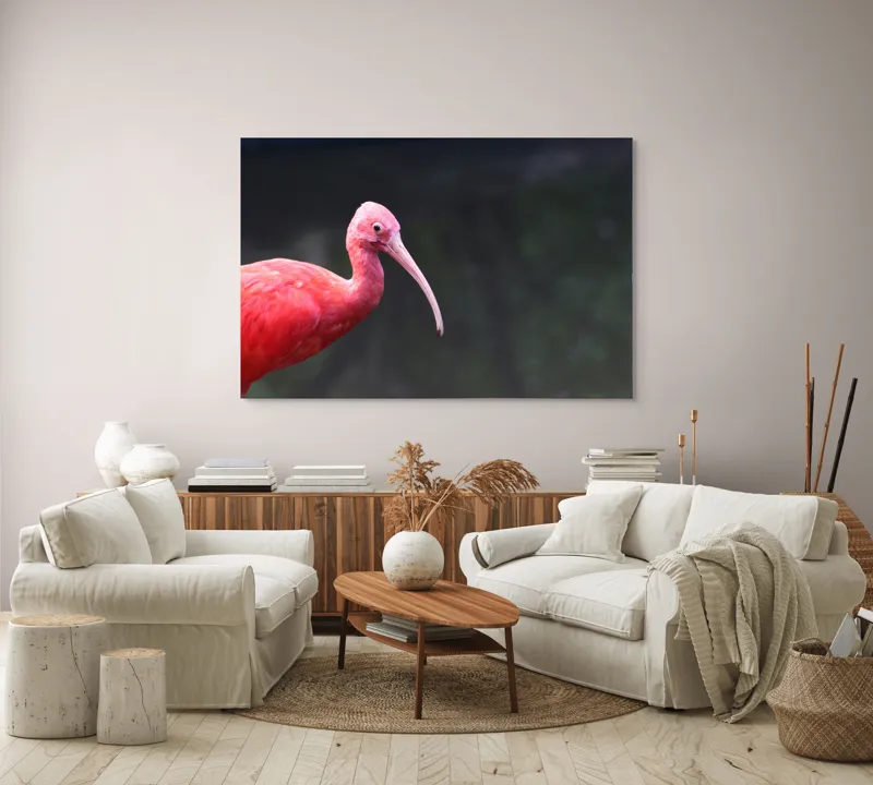 Tablou Canvas, "Pasărea roșie în contemplare liniștită", Roșu, Ibis, Penaj, Cioc, Elegant, Contrast, Natură, Frumusețe., 150 x 100 cm – poza 3