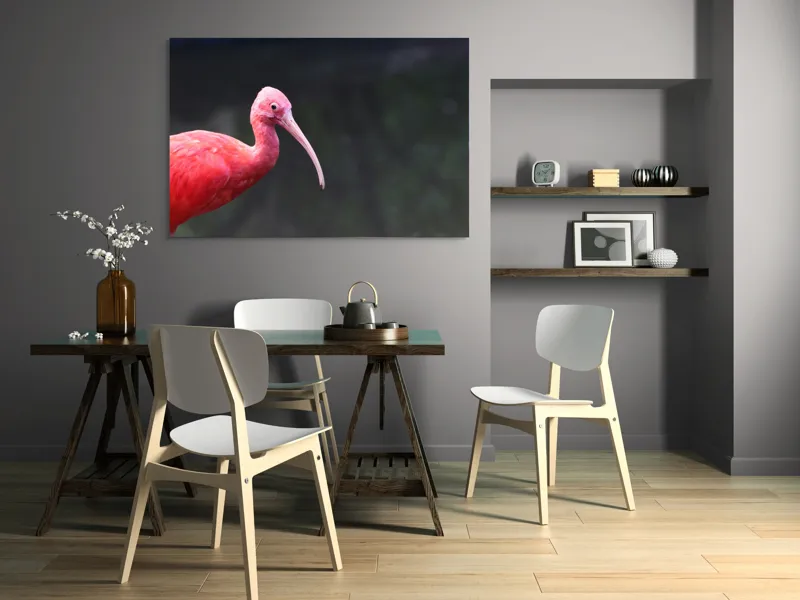 Tablou Canvas, "Pasărea roșie în contemplare liniștită", Roșu, Ibis, Penaj, Cioc, Elegant, Contrast, Natură, Frumusețe., 150 x 100 cm – poza 5
