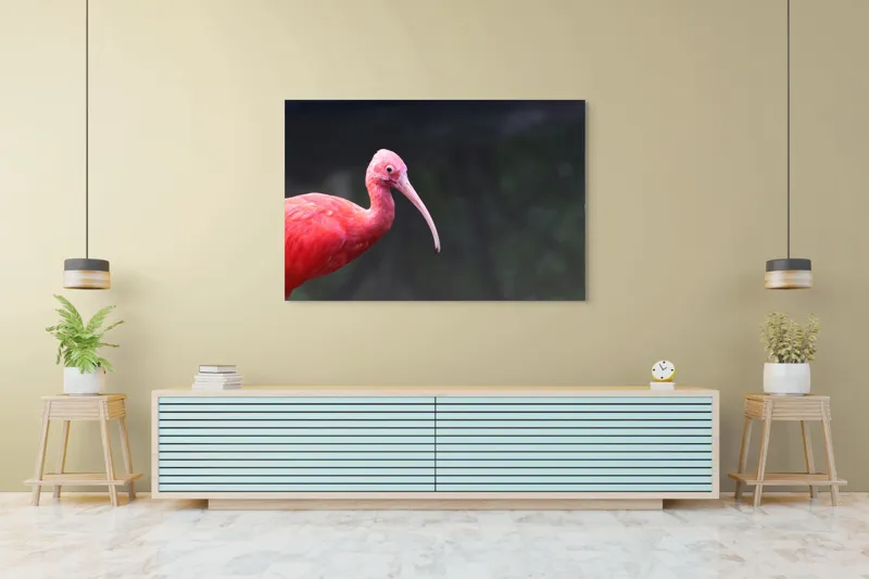 Tablou Canvas, "Pasărea roșie în contemplare liniștită", Roșu, Ibis, Penaj, Cioc, Elegant, Contrast, Natură, Frumusețe., 150 x 100 cm – poza 6