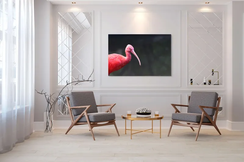 Tablou Canvas, "Pasărea roșie în contemplare liniștită", Roșu, Ibis, Penaj, Cioc, Elegant, Contrast, Natură, Frumusețe., 150 x 100 cm – poza 7