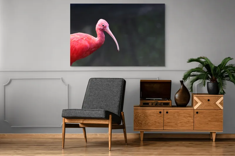 Tablou Canvas, "Pasărea roșie în contemplare liniștită", Roșu, Ibis, Penaj, Cioc, Elegant, Contrast, Natură, Frumusețe., 150 x 100 cm – poza 8