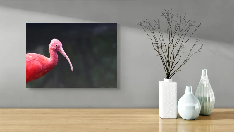 Tablou Canvas, "Pasărea roșie în contemplare liniștită", Roșu, Ibis, Penaj, Cioc, Elegant, Contrast, Natură, Frumusețe., 54 x 39 cm – poza 3