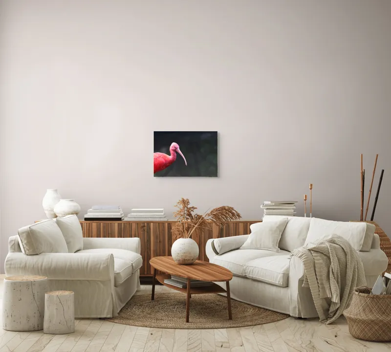 Tablou Canvas, "Pasărea roșie în contemplare liniștită", Roșu, Ibis, Penaj, Cioc, Elegant, Contrast, Natură, Frumusețe., 54 x 39 cm – poza 5