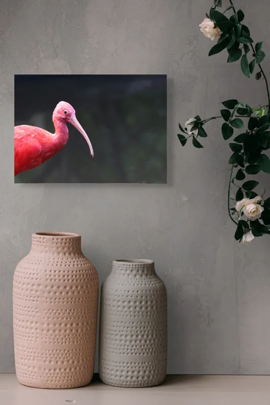Tablou Canvas, "Pasărea roșie în contemplare liniștită", Roșu, Ibis, Penaj, Cioc, Elegant, Contrast, Natură, Frumusețe., 54 x 39 cm – poza 8