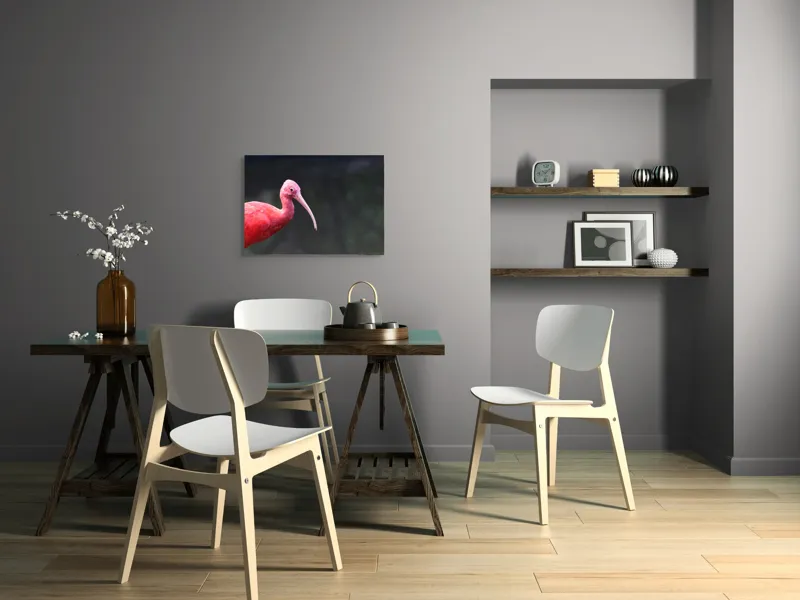 Tablou Canvas, "Pasărea roșie în contemplare liniștită", Roșu, Ibis, Penaj, Cioc, Elegant, Contrast, Natură, Frumusețe., 70 x 50 cm – poza 5