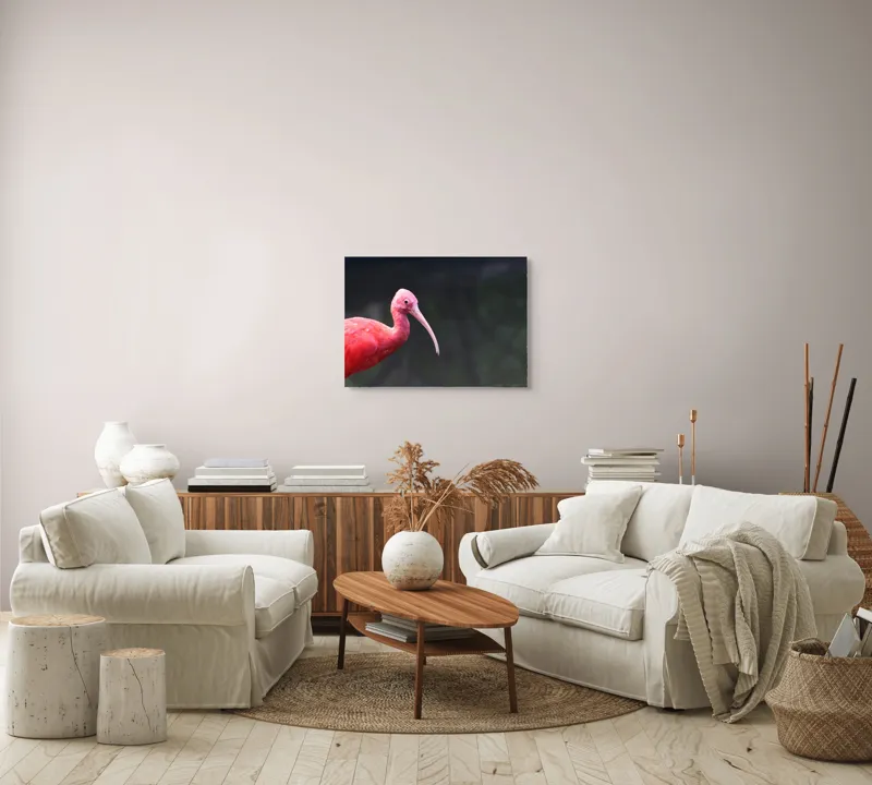 Tablou Canvas, "Pasărea roșie în contemplare liniștită", Roșu, Ibis, Penaj, Cioc, Elegant, Contrast, Natură, Frumusețe., 70 x 50 cm – poza 6