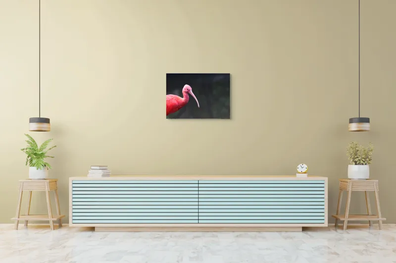 Tablou Canvas, "Pasărea roșie în contemplare liniștită", Roșu, Ibis, Penaj, Cioc, Elegant, Contrast, Natură, Frumusețe., 70 x 50 cm – poza 7