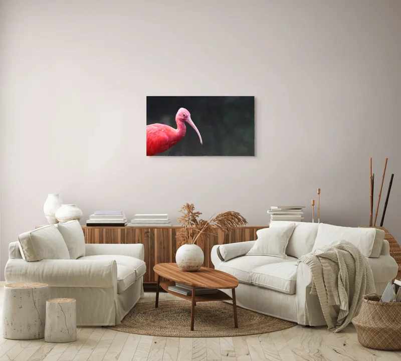 Tablou Canvas, "Pasărea roșie în contemplare liniștită", Roșu, Ibis, Penaj, Cioc, Elegant, Contrast, Natură, Frumusețe., 90 x 50 cm – poza 4