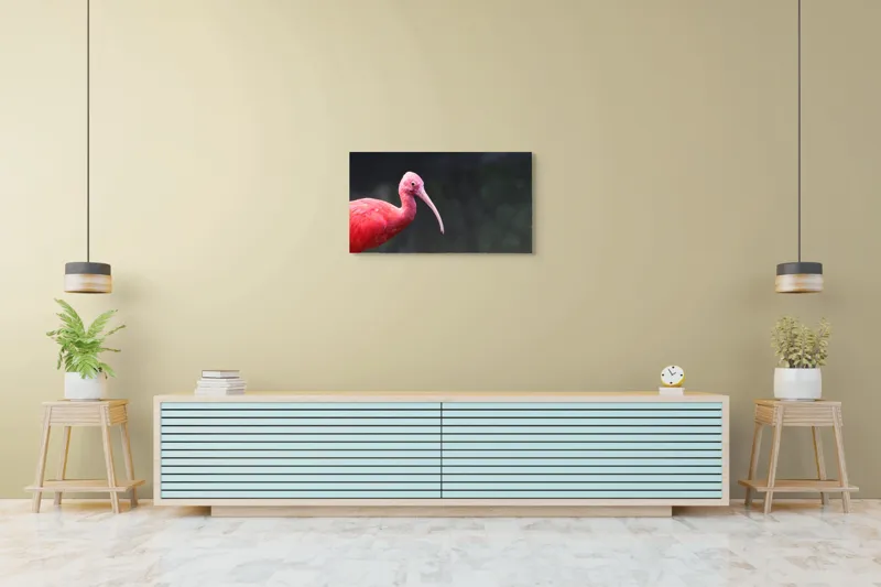 Tablou Canvas, "Pasărea roșie în contemplare liniștită", Roșu, Ibis, Penaj, Cioc, Elegant, Contrast, Natură, Frumusețe., 90 x 50 cm – poza 5