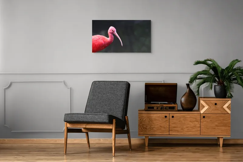 Tablou Canvas, "Pasărea roșie în contemplare liniștită", Roșu, Ibis, Penaj, Cioc, Elegant, Contrast, Natură, Frumusețe., 90 x 50 cm – poza 6