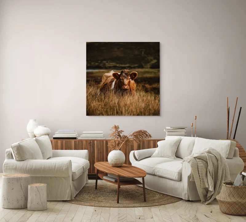 Tablou Canvas, "Vaca rătăcită printre dealuri verzi", Vacă, Pășune, Pământ, Câmpie, Coline, Natură, Blană, Iarbă, Rural, Peisaj, 100 x 100 cm – poza 3