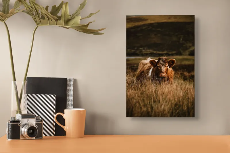 Tablou Canvas, "Vaca rătăcită printre dealuri verzi", Vacă, Pășune, Pământ, Câmpie, Coline, Natură, Blană, Iarbă, Rural, Peisaj, 26 x 39 cm – poza 3