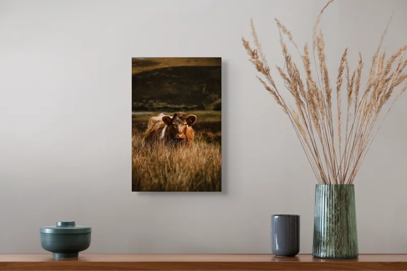 Tablou Canvas, "Vaca rătăcită printre dealuri verzi", Vacă, Pășune, Pământ, Câmpie, Coline, Natură, Blană, Iarbă, Rural, Peisaj, 26 x 39 cm – poza 5