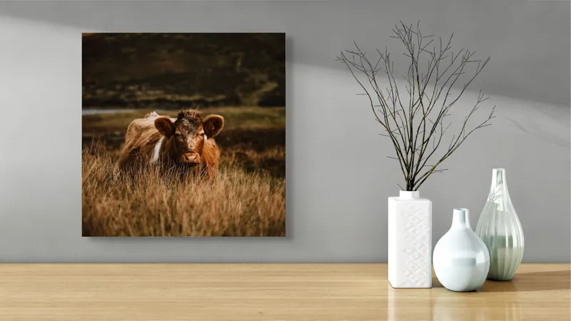 Tablou Canvas, "Vaca rătăcită printre dealuri verzi", Vacă, Pășune, Pământ, Câmpie, Coline, Natură, Blană, Iarbă, Rural, Peisaj, 50 x 50 cm – poza 3