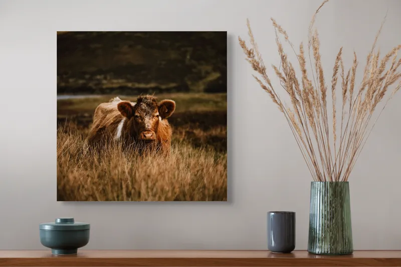Tablou Canvas, "Vaca rătăcită printre dealuri verzi", Vacă, Pășune, Pământ, Câmpie, Coline, Natură, Blană, Iarbă, Rural, Peisaj, 50 x 50 cm – poza 4