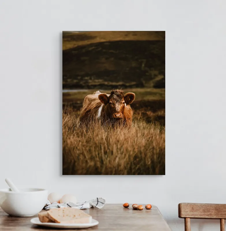 Tablou Canvas, "Vaca rătăcită printre dealuri verzi", Vacă, Pășune, Pământ, Câmpie, Coline, Natură, Blană, Iarbă, Rural, Peisaj, 50 x 70 cm – poza 3