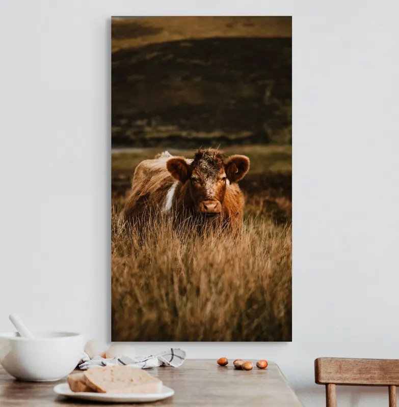 Tablou Canvas, "Vaca rătăcită printre dealuri verzi", Vacă, Pășune, Pământ, Câmpie, Coline, Natură, Blană, Iarbă, Rural, Peisaj, 50 x 90 cm – poza 3
