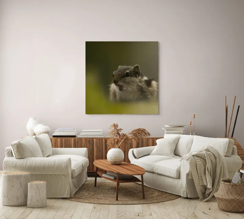 Tablou Canvas, "Pârșul surprins în mijlocul poveștii", Veveriță, Alertă, Blană, Ochi, Natură, Verde, Curiozitate, Whisper, 100 x 100 cm – poza 3