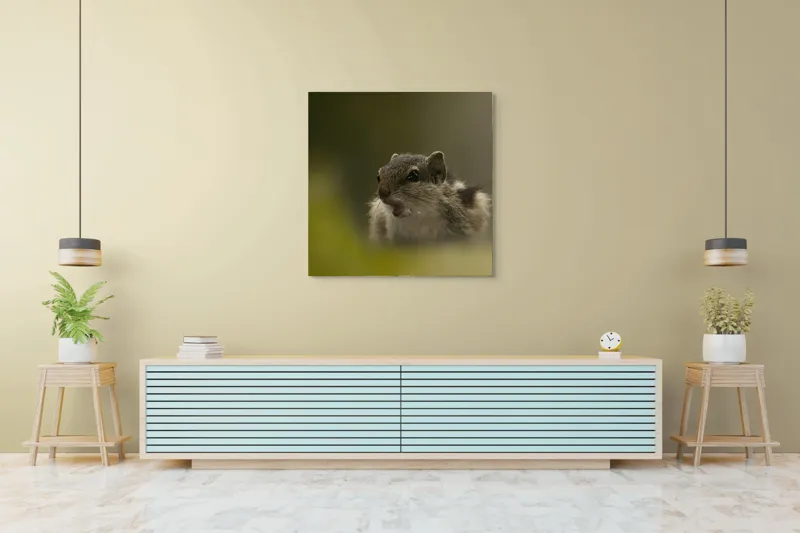 Tablou Canvas, "Pârșul surprins în mijlocul poveștii", Veveriță, Alertă, Blană, Ochi, Natură, Verde, Curiozitate, Whisper, 100 x 100 cm – poza 5